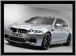 Maska, BMW M5 Concept, Reflektory